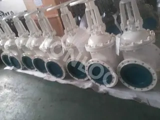 DIN GATE VALVES FOR EUROPEAN CLIENT